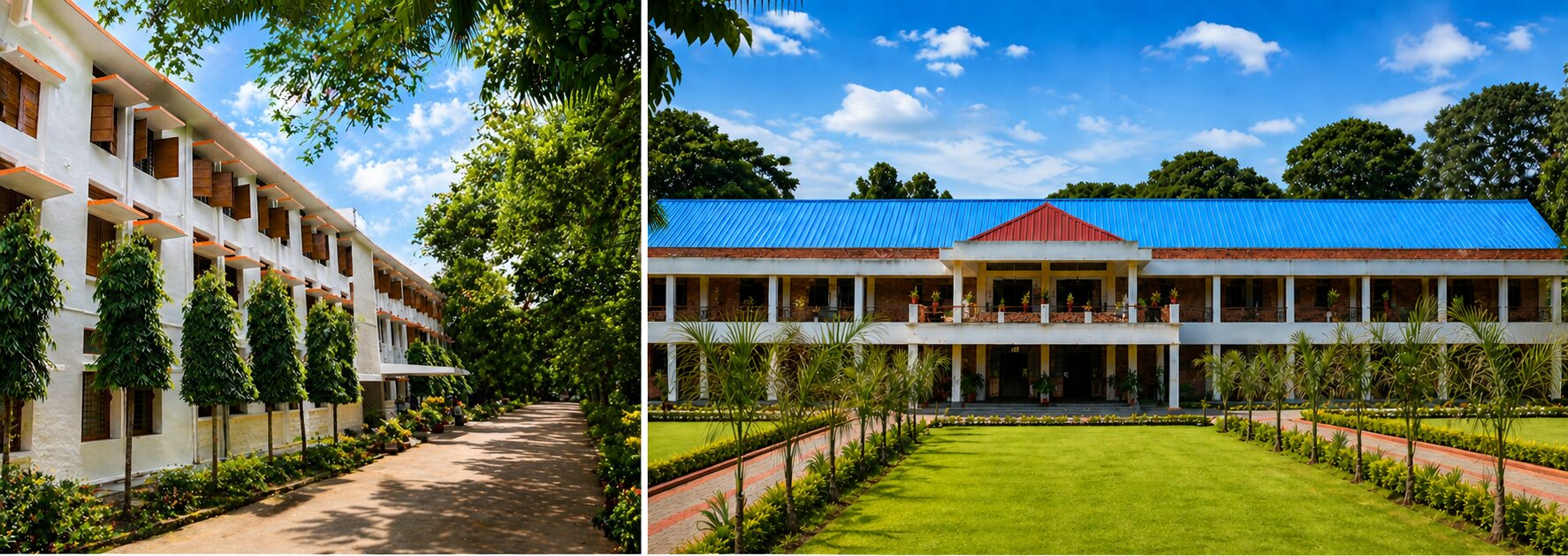 YSM Campus